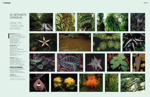 AA, Architecture d&#039;Aujourd&#039;hui, nov. 2012, Vertical Garden by Patrick Blanc