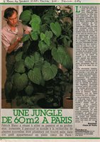 L&#039;Ami des Jardins, Février 1984, Vertical Garden by Patrick Blanc