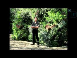 Patrick Blanc: The vertical garden, from nature to cities