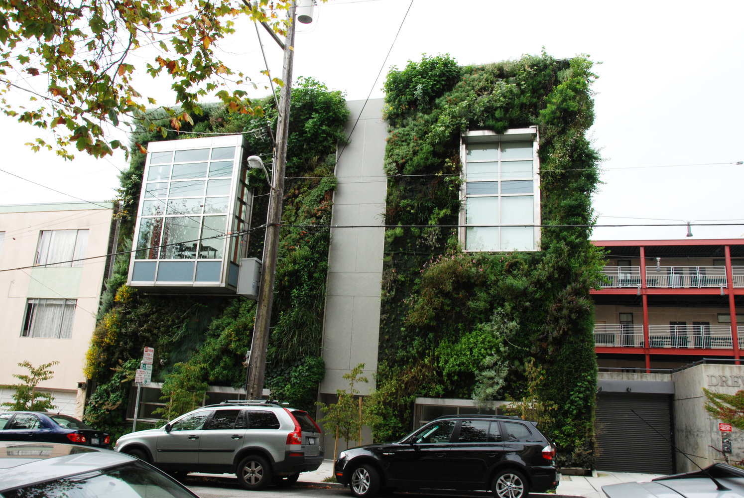 Drew School, San Francisco Vertical Garden Patrick Blanc