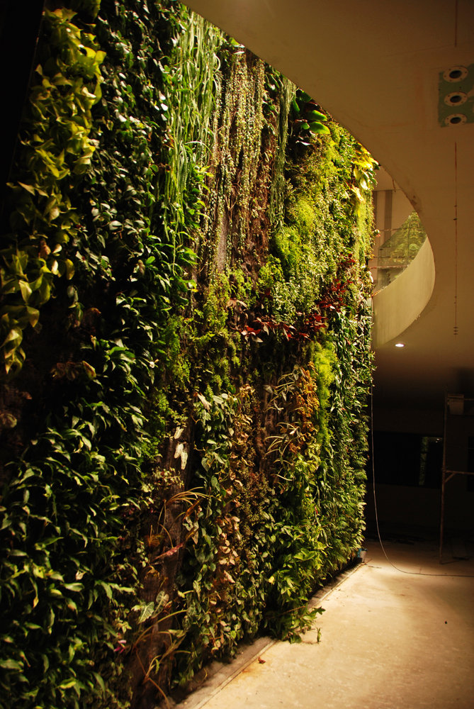 Private house Vertical Garden Patrick Blanc