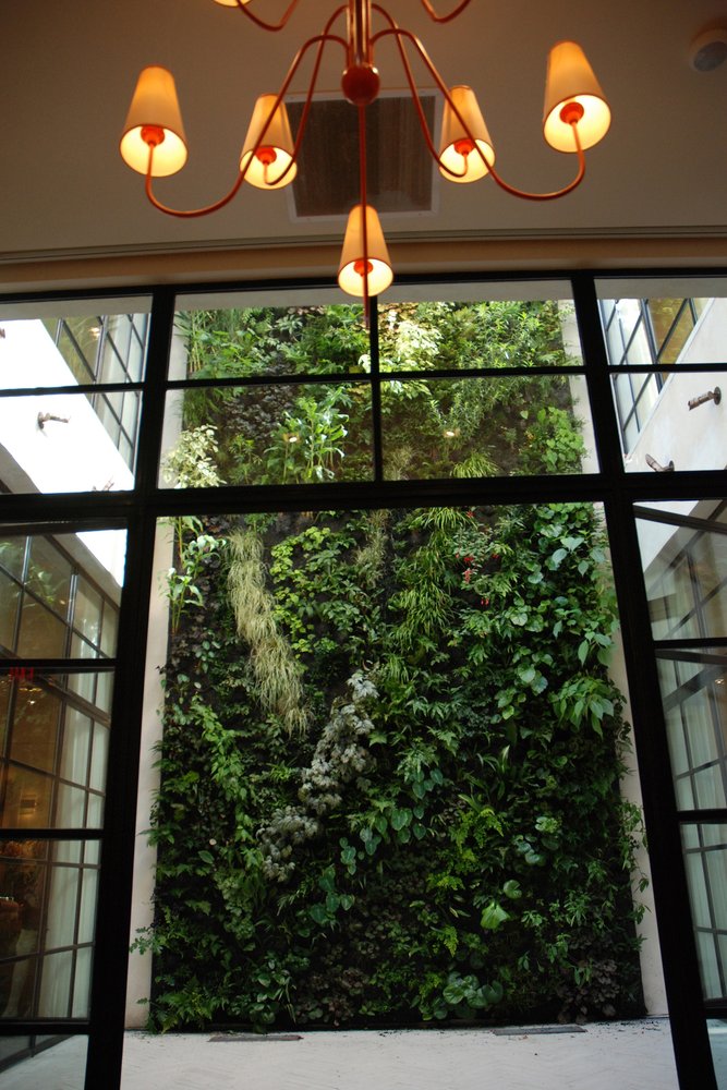 Capitol Clothing Shop, Charlotte NC Vertical Garden Patrick Blanc