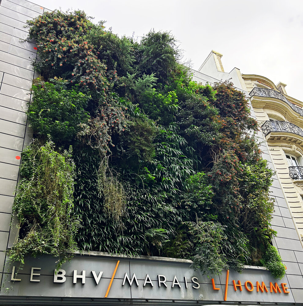 BHV Homme, Paris | Vertical Garden Patrick Blanc