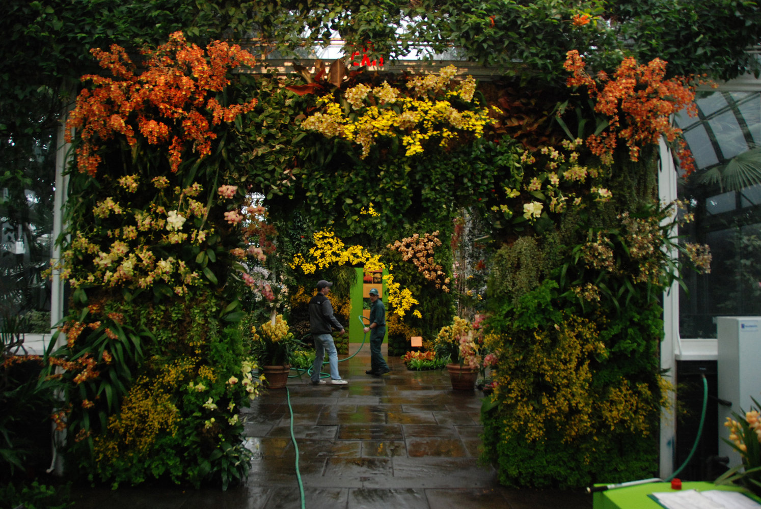 New York Botanical Garden Orchid Show By Patrick Blanc 2012