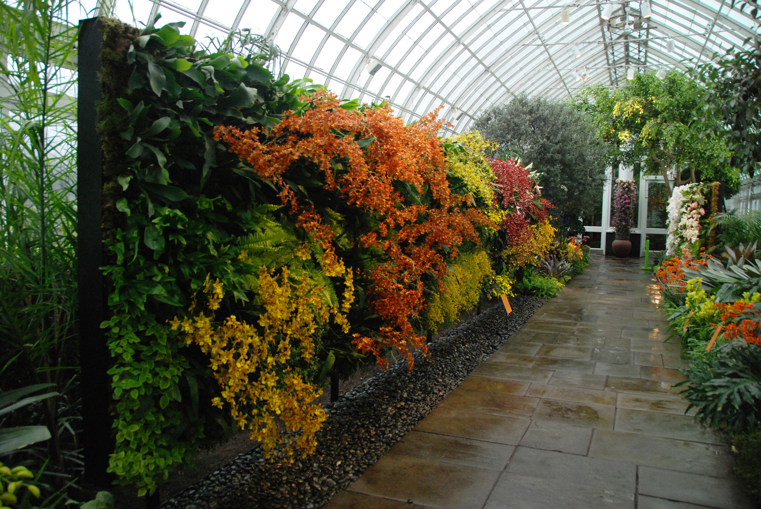 New York Botanical Garden Orchid Show By Patrick Blanc 2012