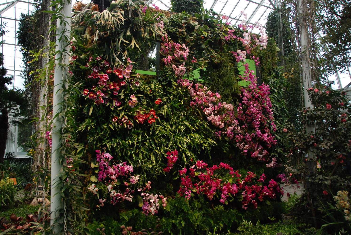 New York Botanical Garden Orchid Show By Patrick Blanc 2012