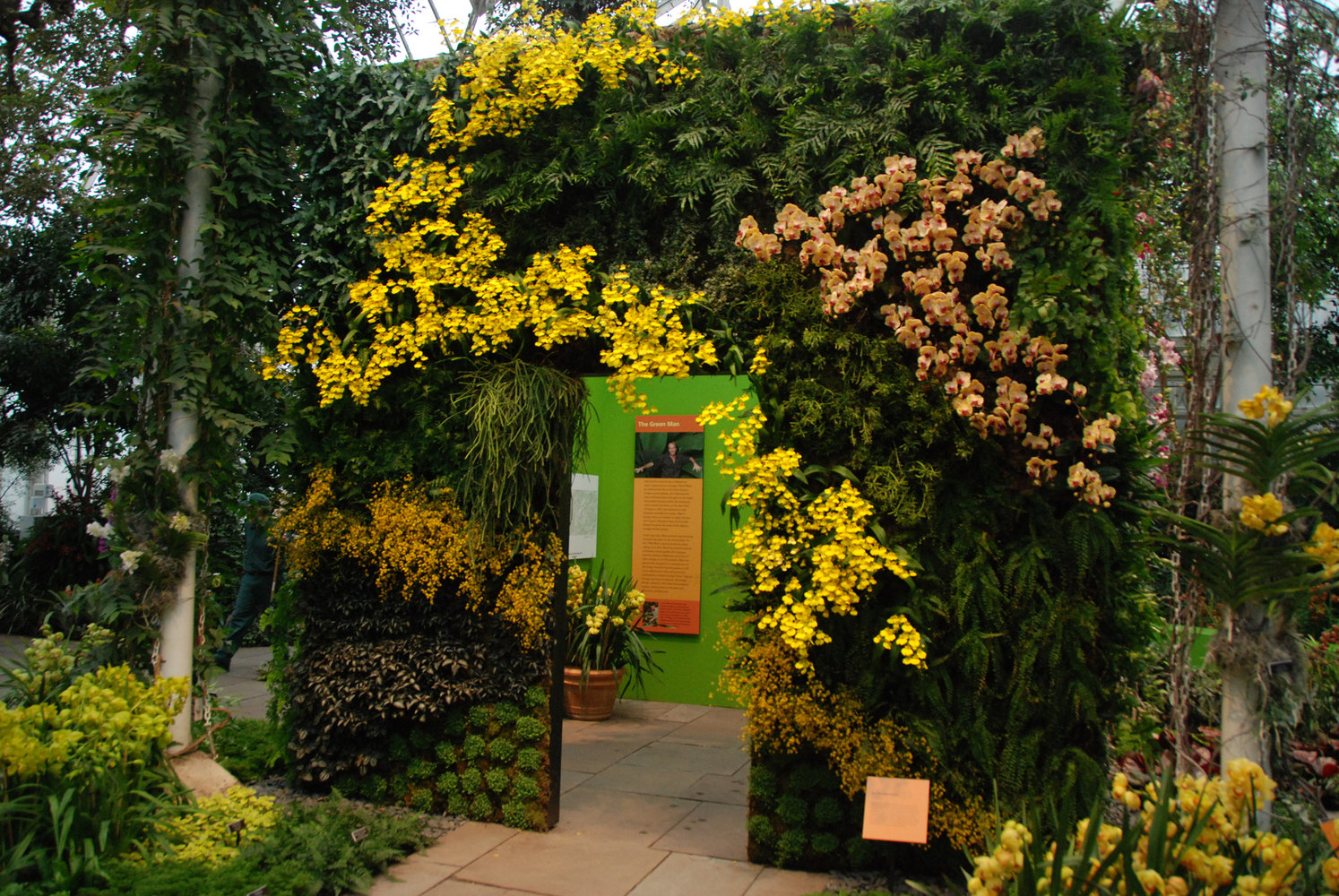 New York Botanical Garden Orchid Show By Patrick Blanc 2012