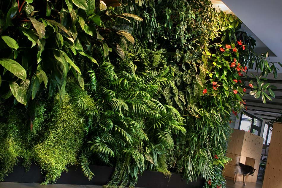 Fondation Nicolas Hulot, Boulogne-Billancourt | Vertical Garden Patrick ...