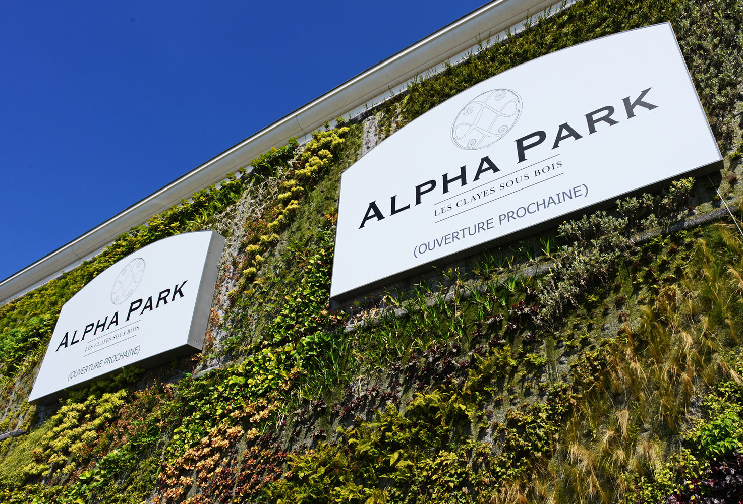 Alpha Park 2, Les Clayes sous Bois | Vertical Garden Patrick Blanc