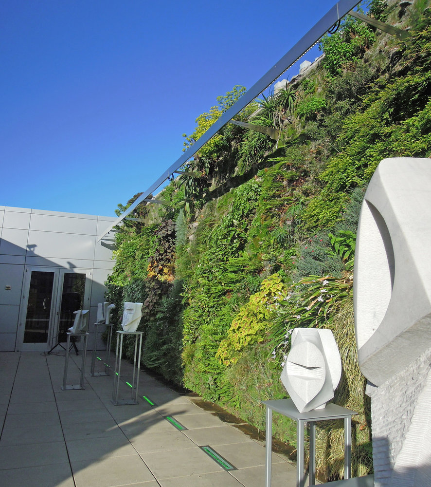 Foundation for the Carolinas, Charlotte NC Vertical Garden Patrick Blanc