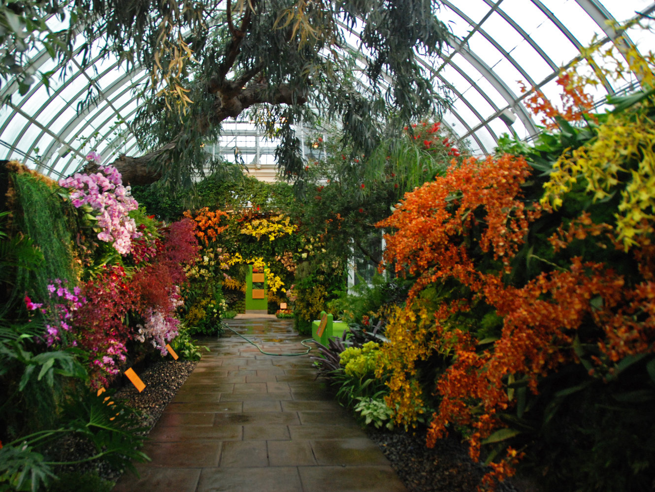 New York Botanical Garden Orchid Show By Patrick Blanc 2012