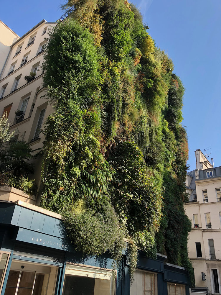 L Oasis D Aboukir Paris Vertical Garden Patrick Blanc