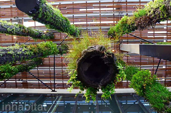 Pérez Art Museum Miami | Vertical Garden Patrick Blanc