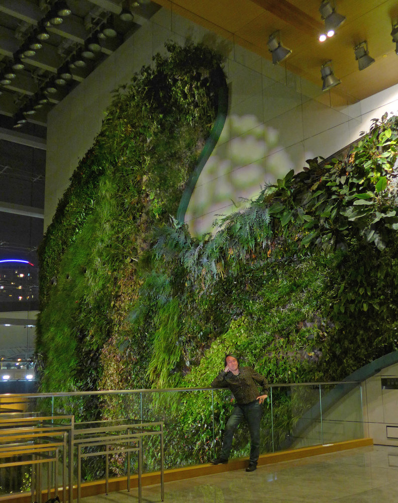  Vertical Garden Patrick Blanc