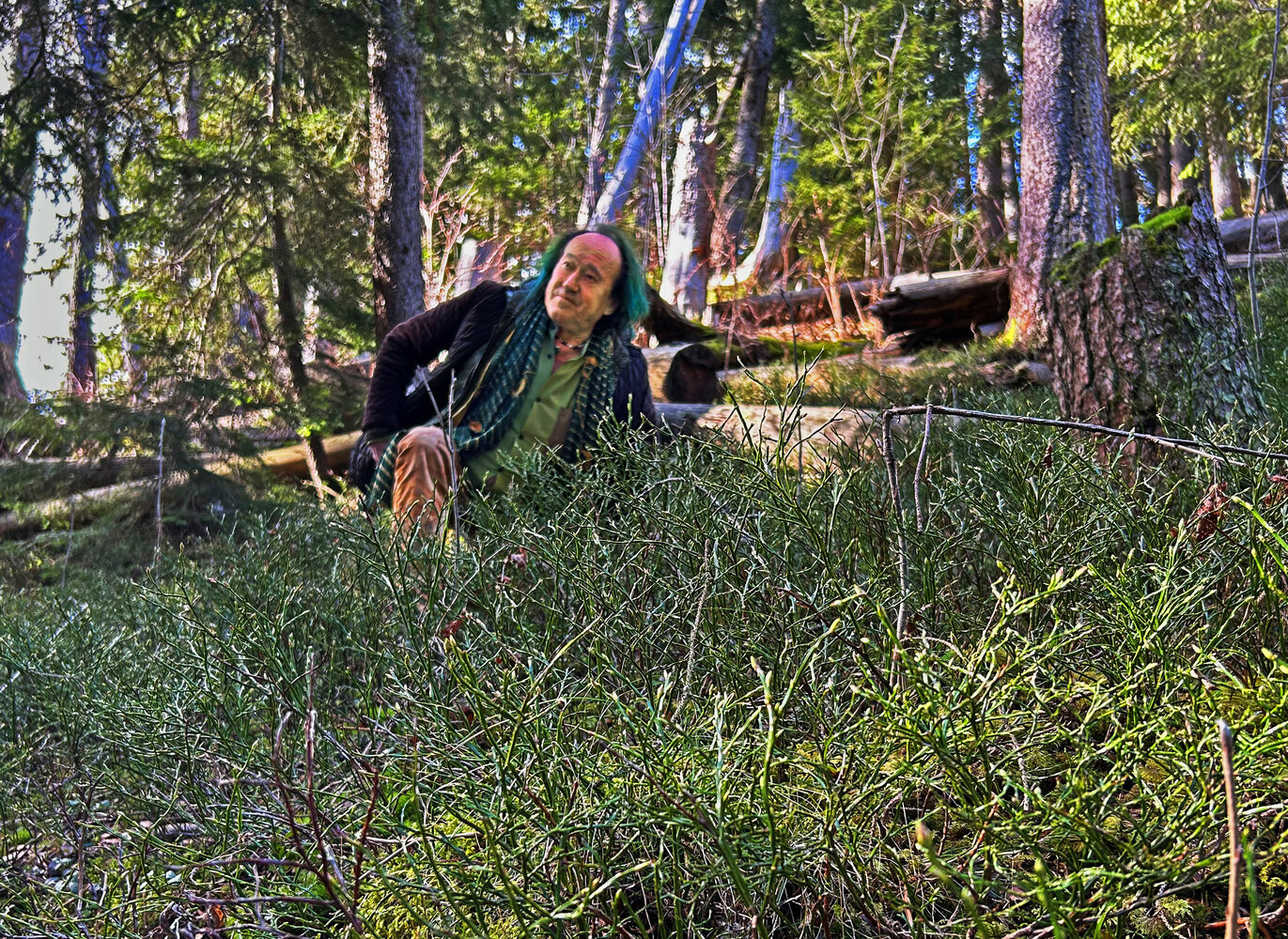 Patrick Blanc Behind A Dense Population Of Vaccinium Myrtillus Alps Patrick Blanc Behind A Dense Population Of Vaccinium Myrtillus Alps
