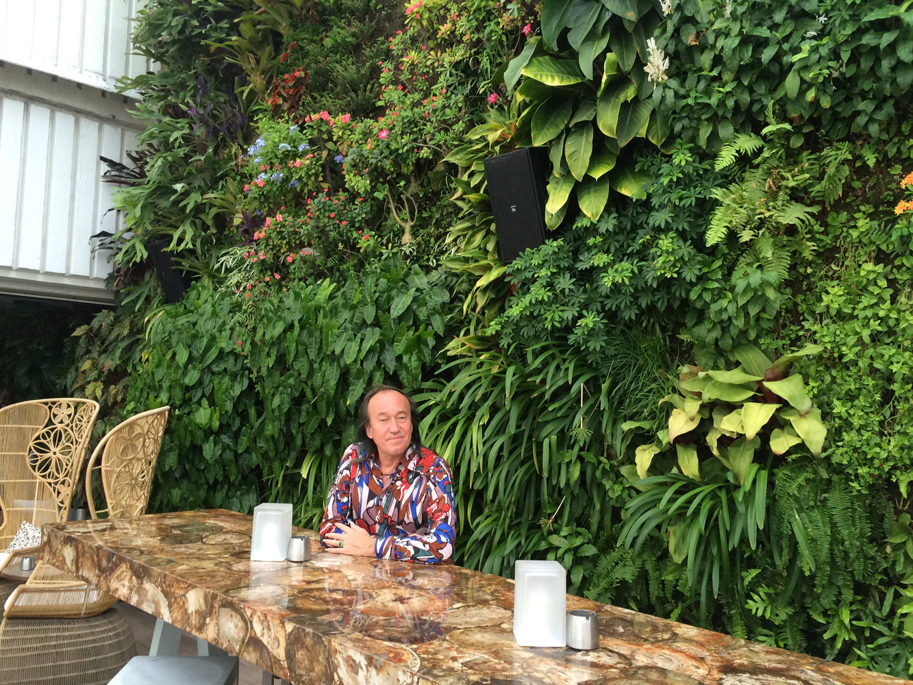 Juvia Restaurant, Miami | Vertical Garden Patrick Blanc