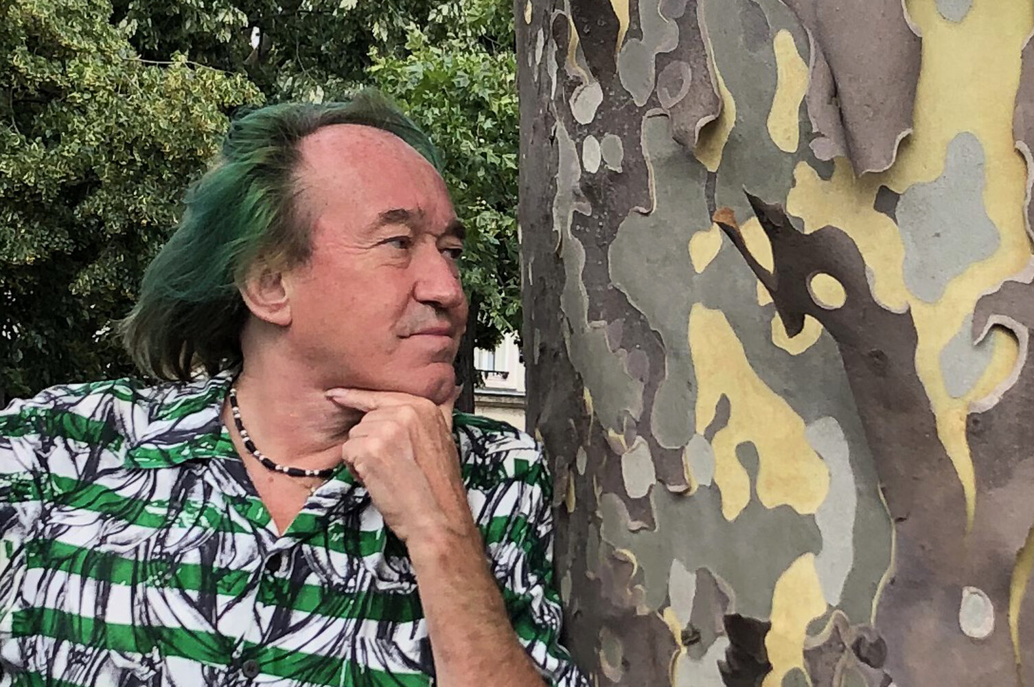 Patrick Blanc observing the peeling bark of a Platanus in the streets