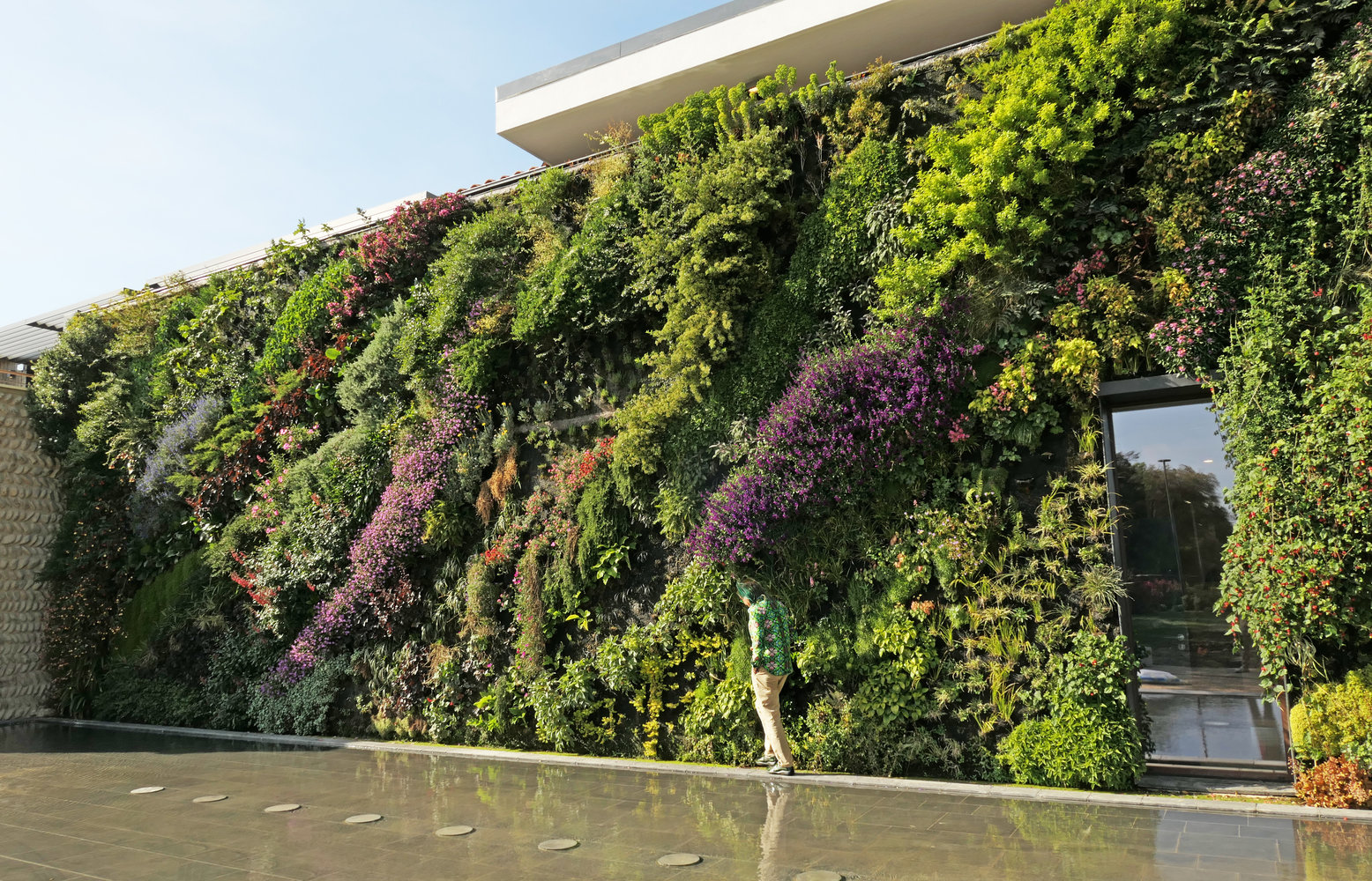 Blanc Vertical Garden vertical garden blanc Blanc Vertical Garden vertical garden blanc