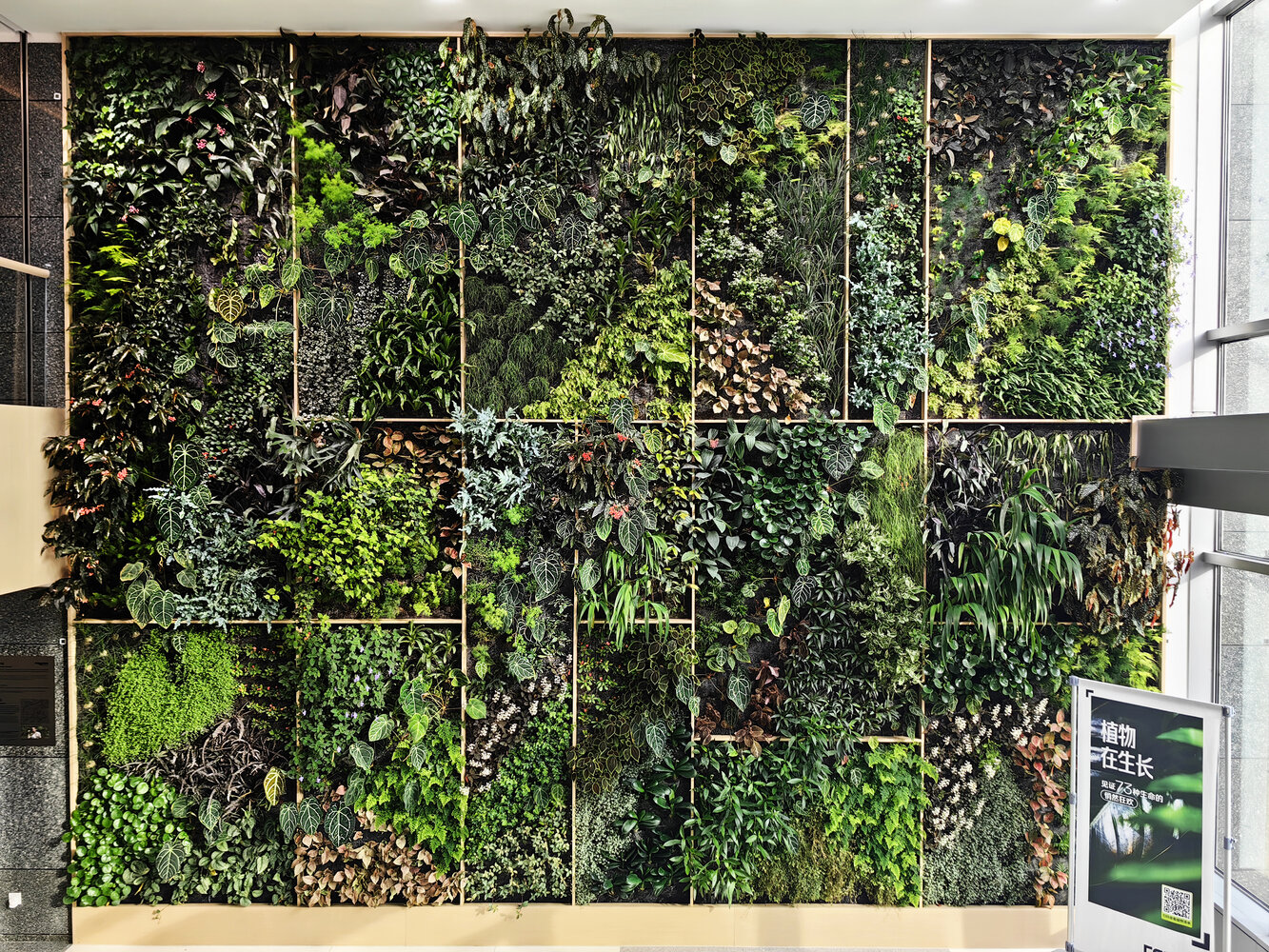 Raycom Tower, Beijing | Vertical Garden Patrick Blanc