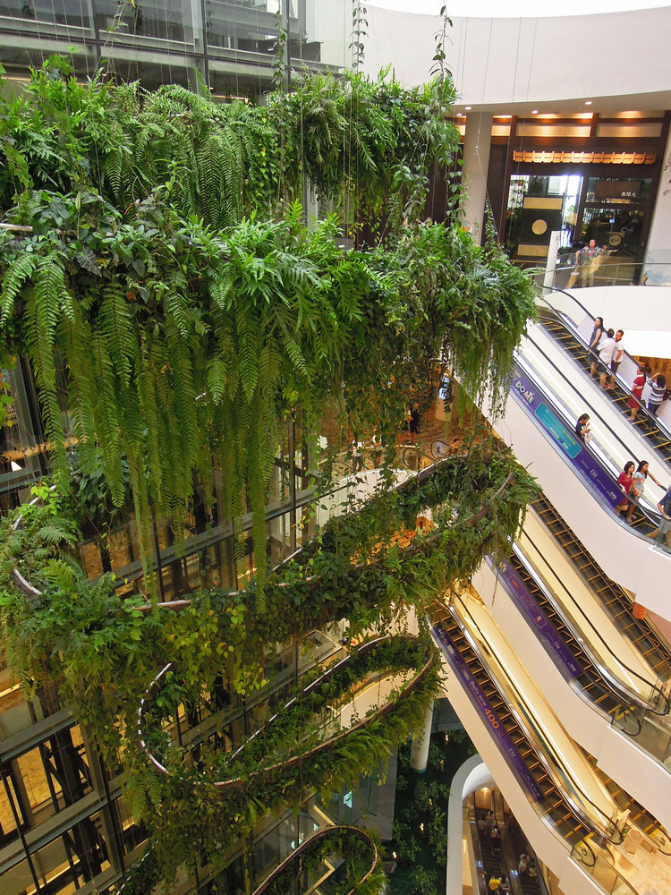 Green vertical interior design of Emquartier shopping mall dining floors  Bangkok Thailand Ornament