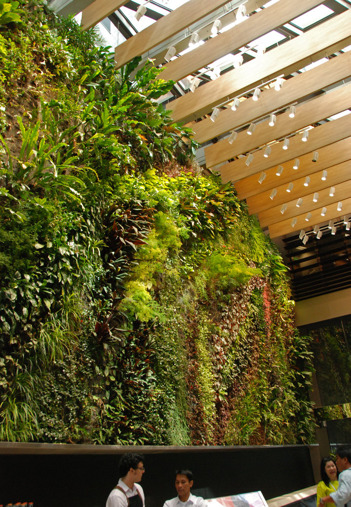 CapitaLand, 6 Battery Road, Rainforest Rhapsody, Singapore ...