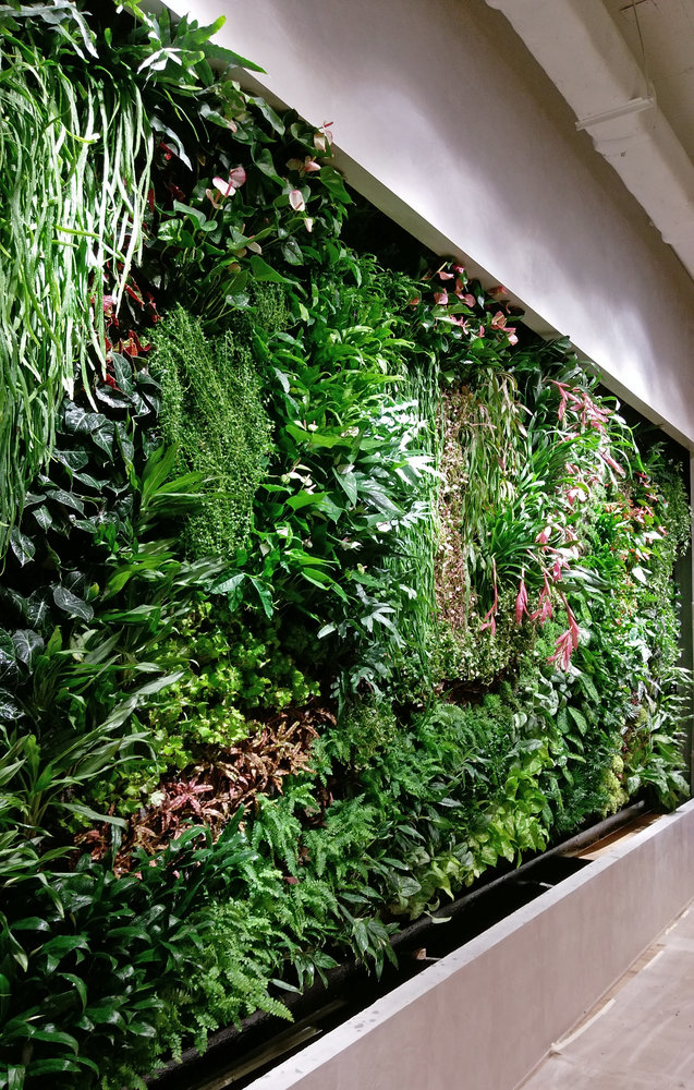 The Work Project, Hong Kong | Vertical Garden Patrick Blanc