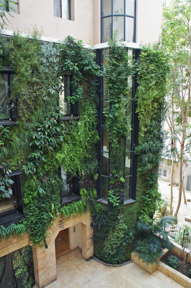 vertical garden in the patio of a private house, left side